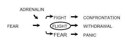 [fear 1.jpg]