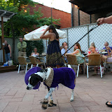 Atomic Dog 2008