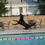 Dock Dogs Fun Jump2008