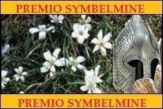  Mimo SYMBELMINE 