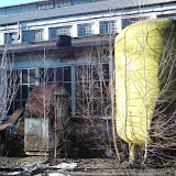DSC00202.JPG
