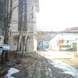 DSC00208.JPG