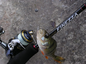 Graphiteleader Finezza