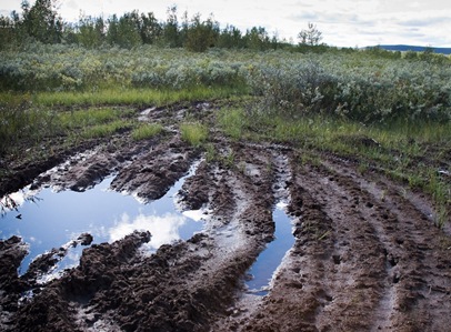 20070821-_MG_2433