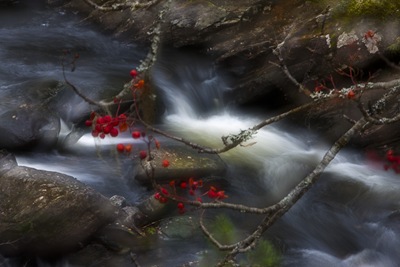 _B6X9863-Edit