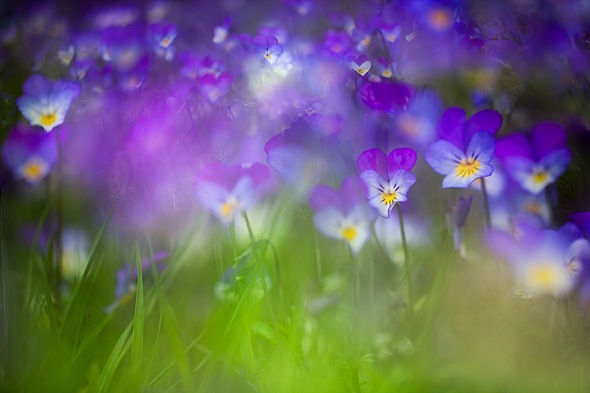 _MG_1874-Edit