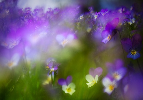 _MG_1877-Edit-Edit