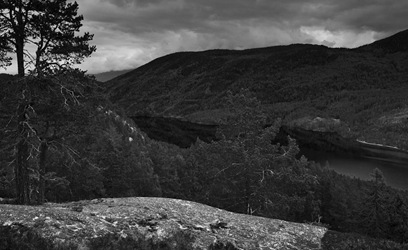 _MG_2308-Edit