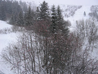 LesGetsDay5_IC 001.jpg Photo