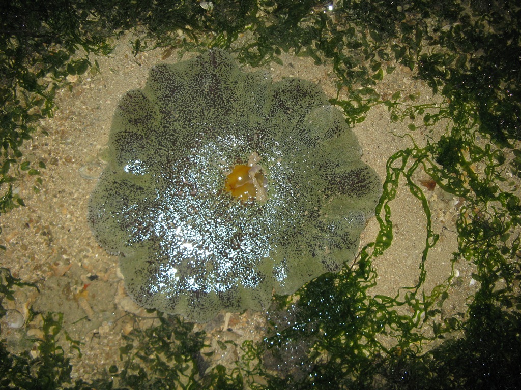 [IMG_79802.jpg]