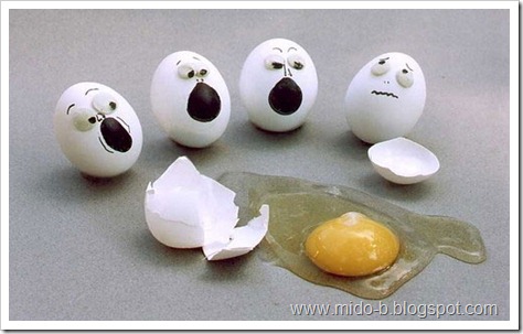egg2