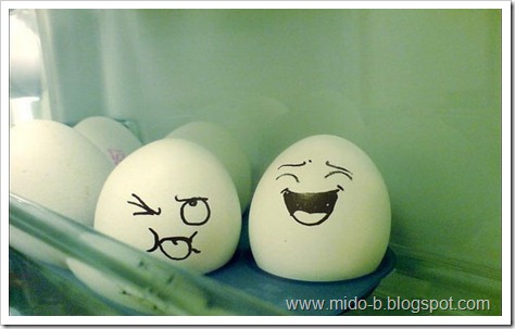 egg4