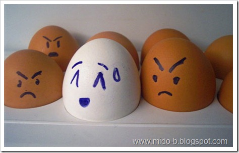 egg12