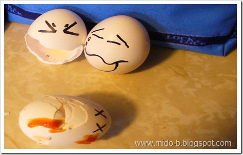 egg17