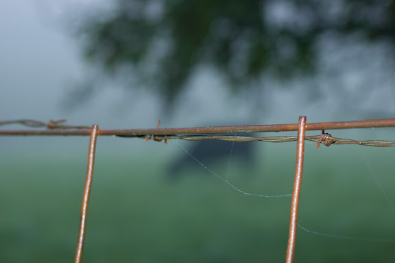 DSC_0056