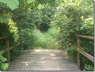 morning run bridge