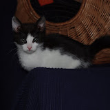 filou0007.jpg