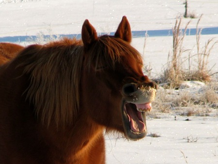 Odinyawn Odinyawn
