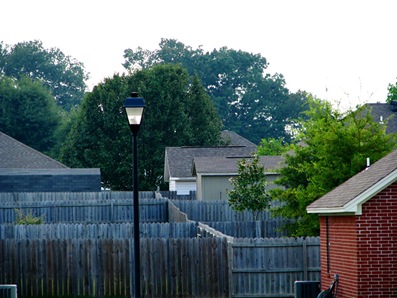 picketfences picketfences