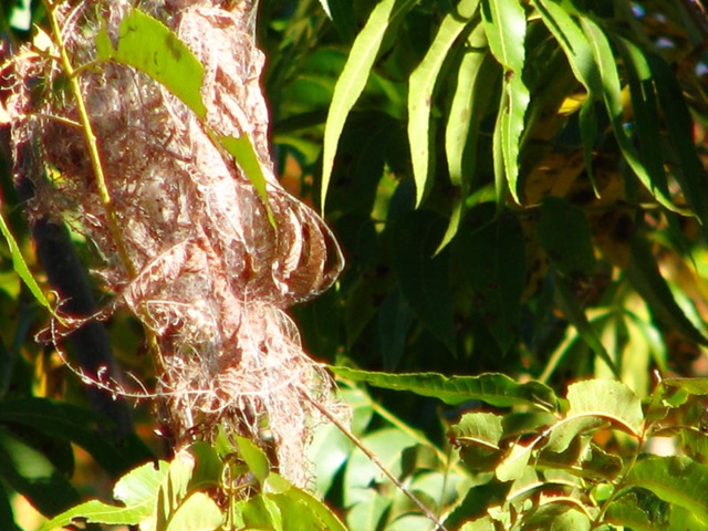 [cocoon[6].jpg]