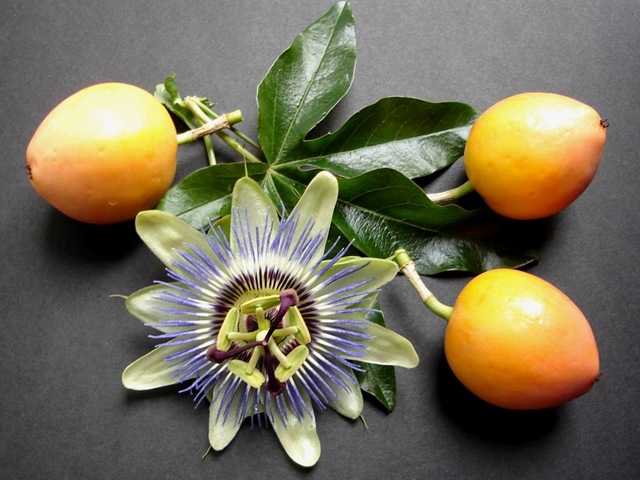 [passion fruit d[5].jpg]
