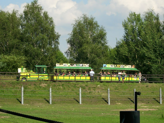 Kolejka w pełnej krasie!