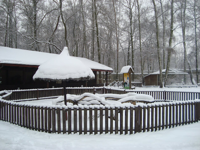 Wszystko przykryte jest śniegiem...
