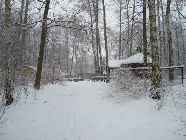 Dziecięce zoo tonie w śniegu