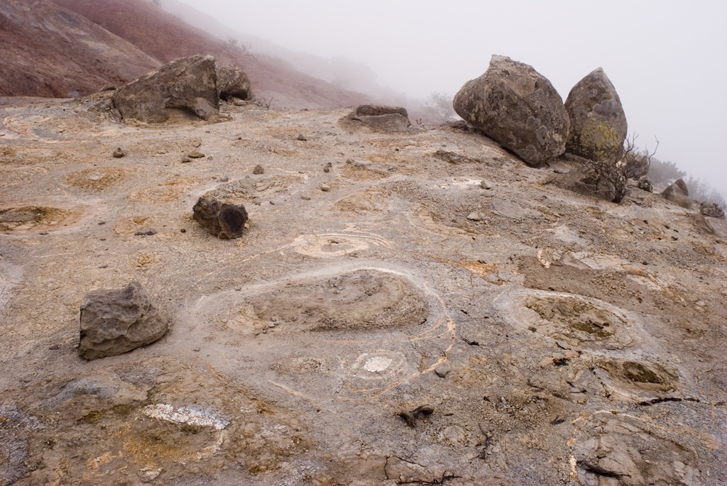 [gomera_lomo del tejo_005[3].jpg]