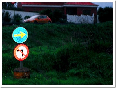 Carlos Ruiz Navarro Izquierdo2