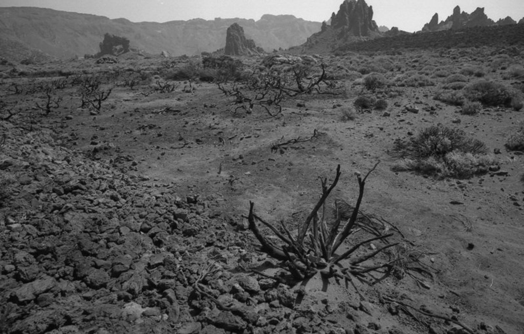 [voigtlander_teide_014_13[4].jpg]
