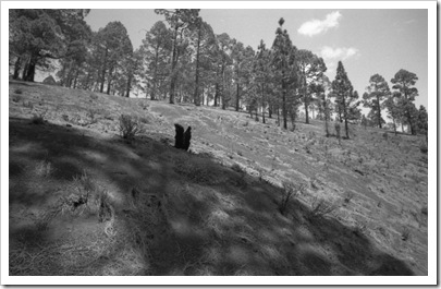 voigtlander_teide_017_16