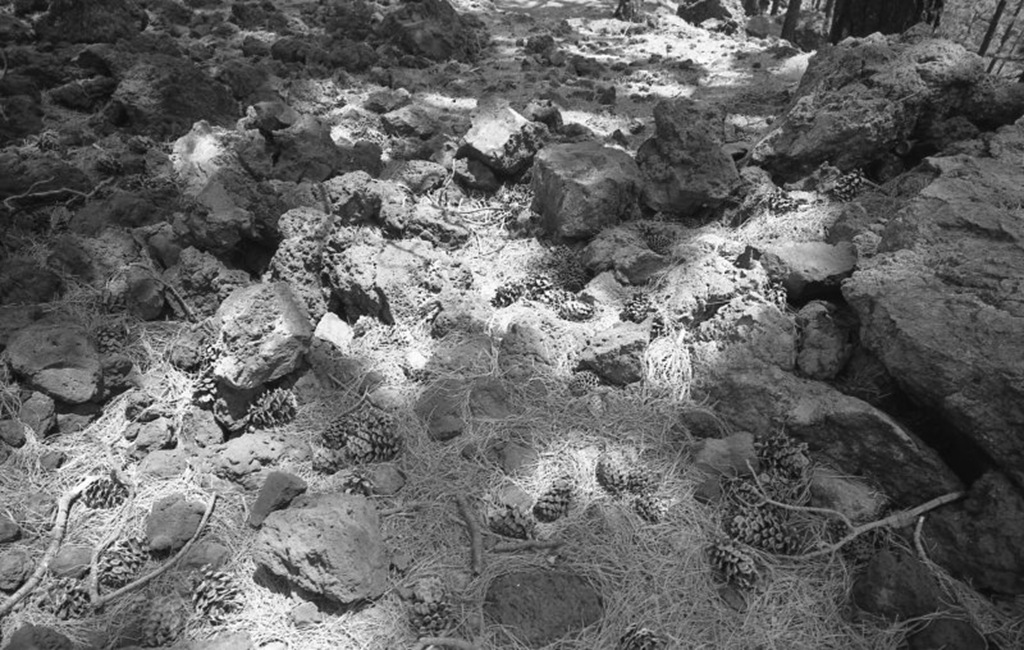 [voigtlander_teide_005_05[4].jpg]