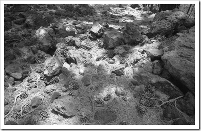 voigtlander_teide_005_05