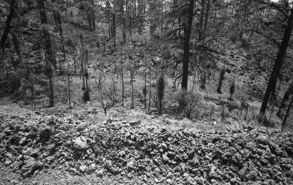 [voigtlander_teide_008_07[4].jpg]