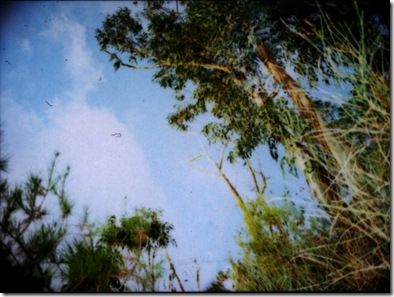 645_pro_tl_polaroid_003
