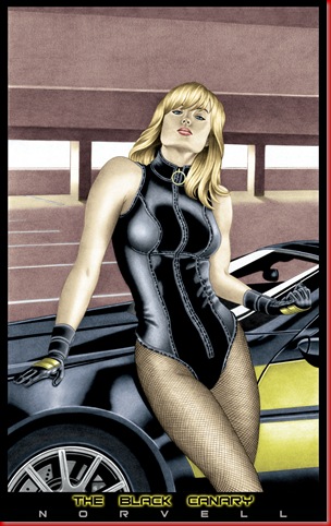 The_Black_Canary_COLORED_by_WannabeSpiderMan