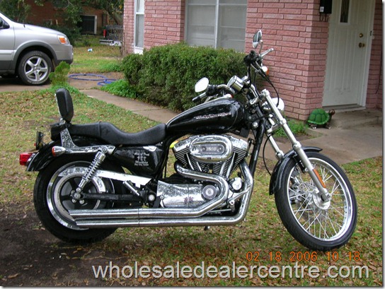 13941-2005-Harley-Davidson-Sportster