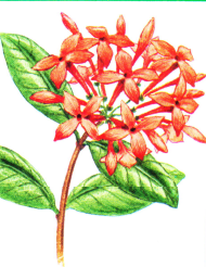[image[2].png]