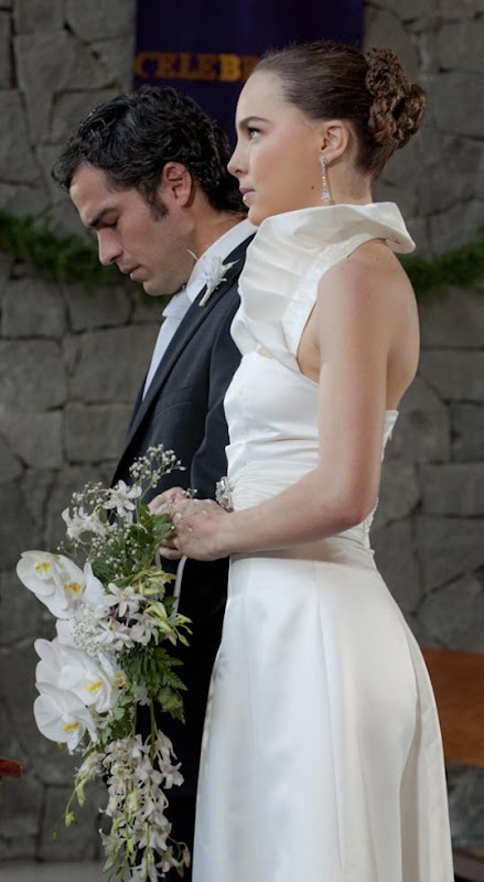 Fotos de la Boda de Belinda y Poncho Herrera