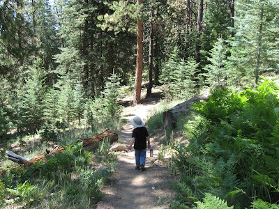 This is Johnny strollong down the Sunset Trail on our way to the Brookbank Trail and Cache