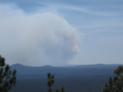 This is the Taylor Fire Smoke and ash after only 12 hrs of burning. Forests on fire are a fearful site. 