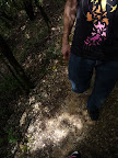 Promenons nous dans les bois... Vallon Pont dArc, Aout 2008.