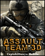 ASSAULT TEAM 3D