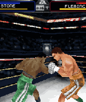 FIGHT NIGHT 4 3D BOXER