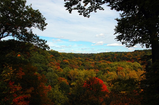 [DSC_0013[8].jpg]