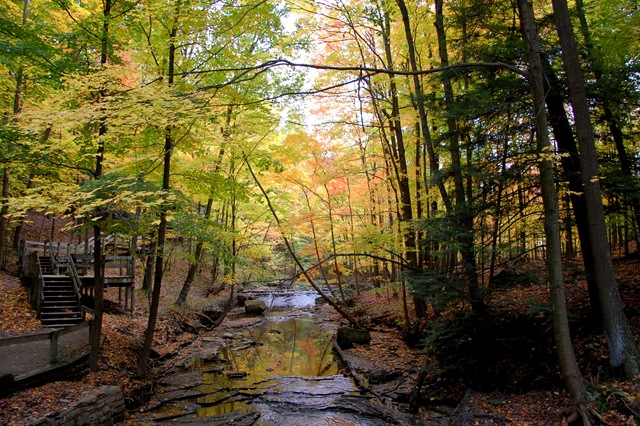 [DSC_0052[7].jpg]