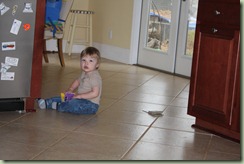 IMG_6766 IMG_6766
