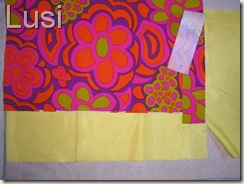 P5250171 P5250171