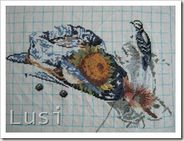 IMG_0792 IMG_0792
